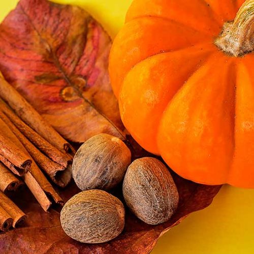 Scents of the Season
